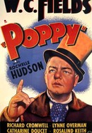 Poppy poster image