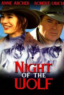 Poster for Night of the Wolf