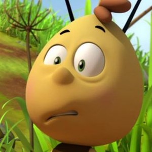 Maya the Bee: Season 1, Episode 19 - Rotten Tomatoes