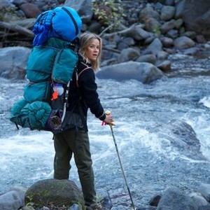 "Wild photo 7"