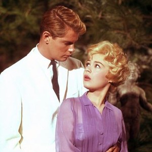 A Summer Place (1959) photo 2