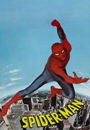 The Amazing Spider-Man poster image