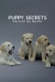 Puppy Secrets: The First Six Months
