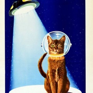 The Cat From Outer Space photo 2