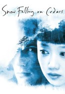 Snow Falling on Cedars poster image