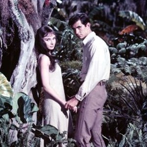 Green Mansions (1959) photo 10
