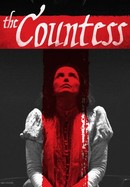 The Countess poster image