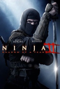Ninja II: Shadow of a Tear poster