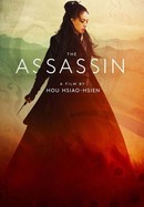 The Assassin poster image