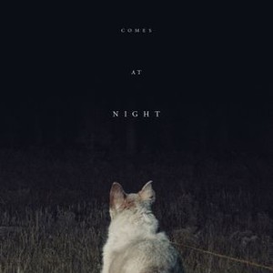 It Comes at Night photo 20