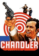 Chandler poster image