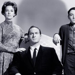 The Spirit Is Willing (1967) photo 10