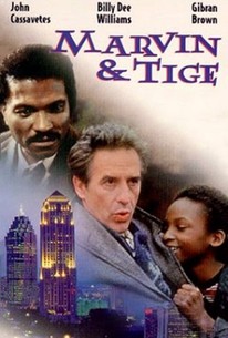 Poster for Marvin and Tige