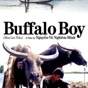 The Buffalo Boy photo 2