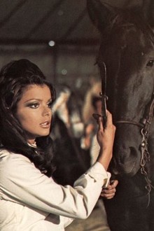 Black Beauty | Rotten Tomatoes