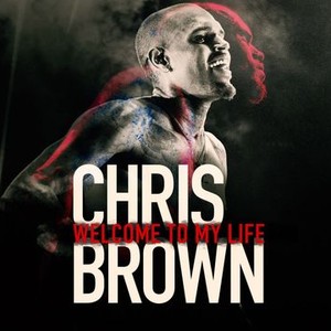 Chris Brown: Welcome to My Life photo 10
