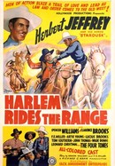 Harlem Rides the Range poster image
