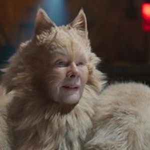 Cats - Rotten Tomatoes