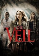 The Veil poster image