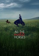 All the Wild Horses poster image