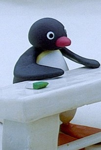 Pingu: Season 4, Episode 7 - Rotten Tomatoes