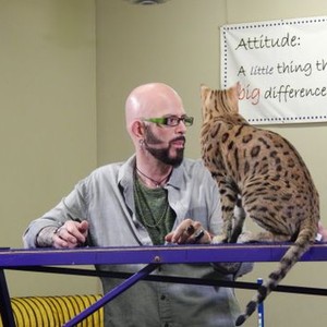 Jackson Galaxy