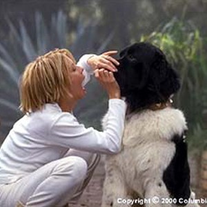 Begged by her sister to dog-sit, Eve (Meg Ryan) realizes it's not easy feeding a pill to Maddy's oversized pooch, Buck, in the Columbia Pictures presentation, Hanging Up