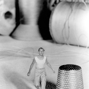 The Incredible Shrinking Man (1957) photo 13