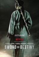 Crouching Tiger, Hidden Dragon: Sword of Destiny poster image