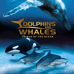 Dolphins and Whales: Tribes of the Ocean photo 7