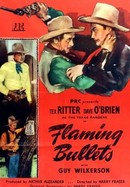Flaming Bullets poster image