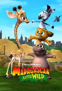 Madagascar: A Little Wild - Rotten Tomatoes