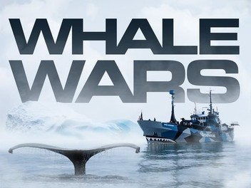 その他 Whale Wars: Season 1 [DVD] Whale Wars: Season 1: Amazon.ca: Animal Planet, Animal