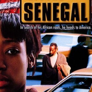 Little Senegal photo 3