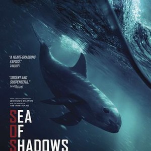 Sea of Shadows photo 19