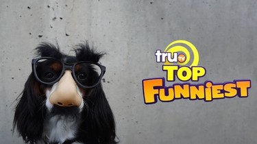Trutv 2025 funniest videos