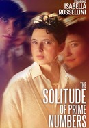 The Solitude of Prime Numbers poster image