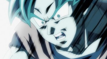 Dragon ball super deals 110