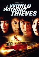 A World Without Thieves poster image