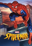 Spider-Man poster image