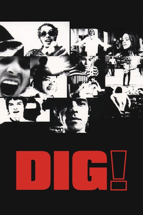 DIG! poster