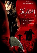 Slash poster image