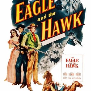 The Eagle and the Hawk photo 7