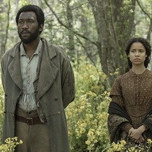 Free State of Jones - Rotten Tomatoes