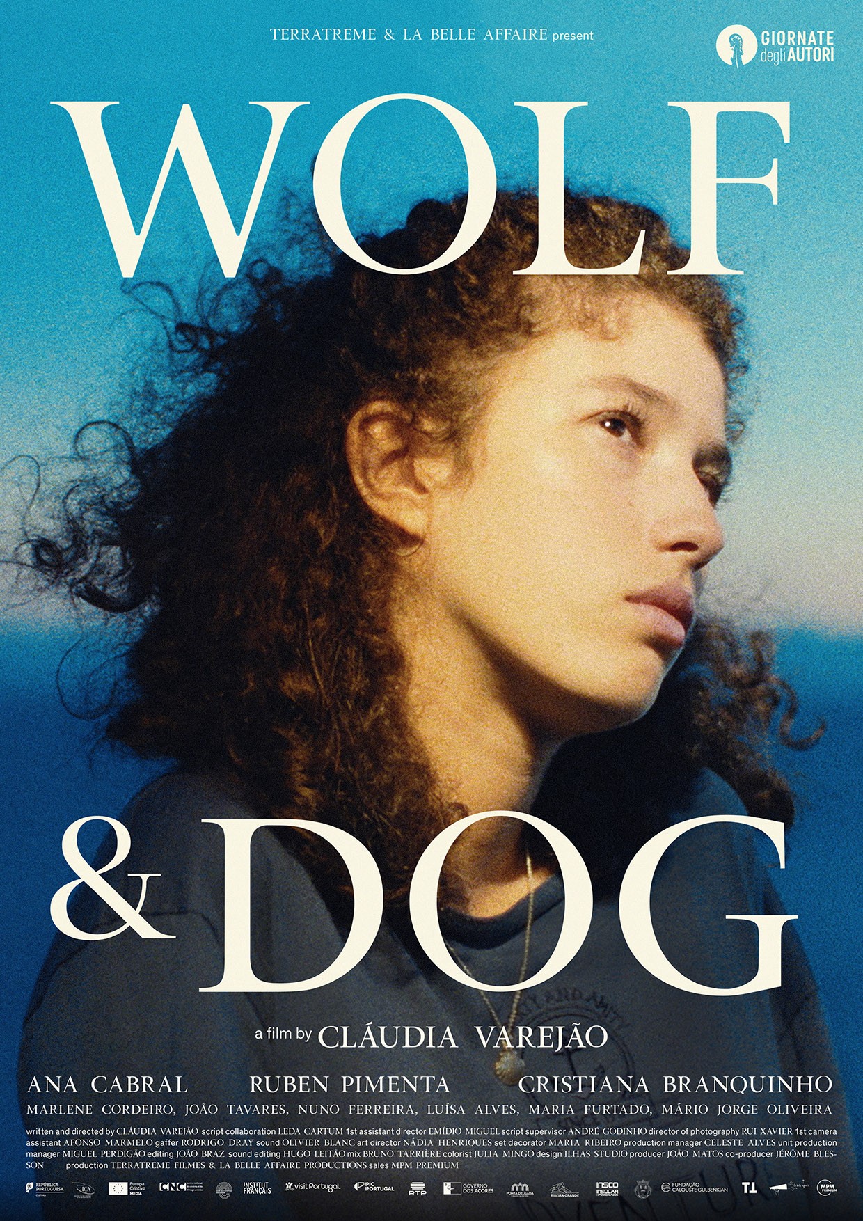 Wolf And Dog Pictures Rotten Tomatoes