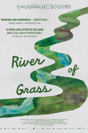 River of Grass poster