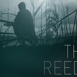 The Reeds photo 12