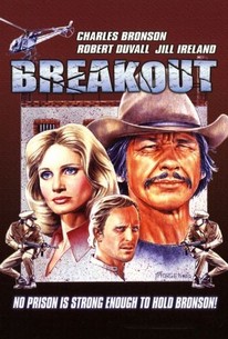 Watch trailer for Breakout
