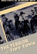 The Terror of Tiny Town poster image