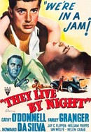 They Live by Night poster image